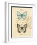 Duet Papillon-Chad Barrett-Framed Art Print