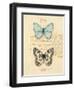 Duet Papillon-Chad Barrett-Framed Art Print