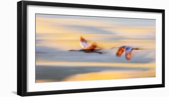 Duet-Leechee Z-Framed Photographic Print