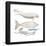 Dugong (Dugong Dugon), Mammals-Encyclopaedia Britannica-Framed Poster