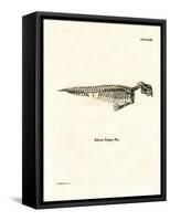 Dugong Skeleton-null-Framed Stretched Canvas