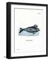 Dugong-null-Framed Giclee Print