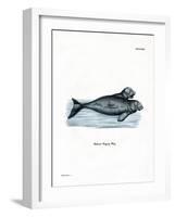 Dugong-null-Framed Giclee Print