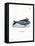 Dugong-null-Framed Stretched Canvas