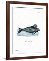 Dugong-null-Framed Giclee Print