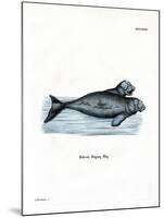 Dugong-null-Mounted Giclee Print