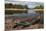 Dugout Canoe. Fairview, Iwokrama Reserve, Guyana-Pete Oxford-Mounted Premium Photographic Print