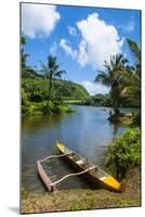 Dugout Canoe on the Wailua River. Kauai, Hawaii, United States of America, Pacific-Michael Runkel-Mounted Photographic Print