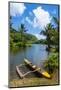 Dugout Canoe on the Wailua River. Kauai, Hawaii, United States of America, Pacific-Michael Runkel-Mounted Photographic Print