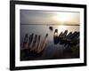 Dugout Canoes on the Congo River, Yangambi, Democratic Republic of Congo, Africa-Andrew Mcconnell-Framed Photographic Print
