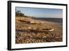 Dugout Canoes Used as Fishing Boats on Ifaty Beach at Sunset, South West Madagascar, Africa-Matthew Williams-Ellis-Framed Photographic Print