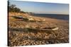 Dugout Canoes Used as Fishing Boats on Ifaty Beach at Sunset, South West Madagascar, Africa-Matthew Williams-Ellis-Stretched Canvas