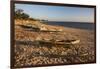 Dugout Canoes Used as Fishing Boats on Ifaty Beach at Sunset, South West Madagascar, Africa-Matthew Williams-Ellis-Framed Photographic Print