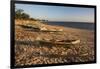 Dugout Canoes Used as Fishing Boats on Ifaty Beach at Sunset, South West Madagascar, Africa-Matthew Williams-Ellis-Framed Photographic Print