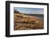 Dugout Canoes Used as Fishing Boats on Ifaty Beach at Sunset, South West Madagascar, Africa-Matthew Williams-Ellis-Framed Photographic Print