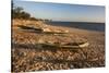 Dugout Canoes Used as Fishing Boats on Ifaty Beach at Sunset, South West Madagascar, Africa-Matthew Williams-Ellis-Stretched Canvas