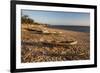 Dugout Canoes Used as Fishing Boats on Ifaty Beach at Sunset, South West Madagascar, Africa-Matthew Williams-Ellis-Framed Photographic Print