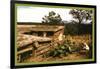Dugout Home Graden of Jack Whinery in Pie Town-Russell Lee-Framed Art Print