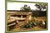 Dugout Home Graden of Jack Whinery in Pie Town-Russell Lee-Mounted Art Print