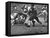 Duke Football Players Tackling the Other Team Players During a Game-null-Framed Stretched Canvas