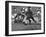 Duke Football Players Tackling the Other Team Players During a Game-null-Framed Photographic Print