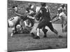 Duke Football Players Tackling the Other Team Players During a Game-null-Mounted Photographic Print