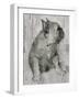 Duke in Grey Tones-Albena Hristova-Framed Art Print