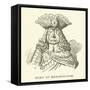 Duke of Marlborough-null-Framed Stretched Canvas