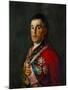 Duke of Wellington, 1769-1852-Suzanne Valadon-Mounted Giclee Print