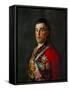 Duke of Wellington, 1769-1852-Suzanne Valadon-Framed Stretched Canvas