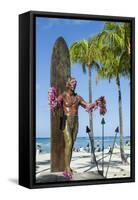 Duke Paoa Kahanamoku, Waikiki Beach, Honolulu, Oahu, Hawaii, United States of America, Pacific-Michael DeFreitas-Framed Stretched Canvas