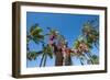 Duke Paoa Kahanamoku, Waikiki Beach, Honolulu, Oahu, Hawaii, United States of America, Pacific-Michael DeFreitas-Framed Photographic Print