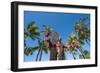 Duke Paoa Kahanamoku, Waikiki Beach, Honolulu, Oahu, Hawaii, United States of America, Pacific-Michael DeFreitas-Framed Photographic Print