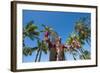 Duke Paoa Kahanamoku, Waikiki Beach, Honolulu, Oahu, Hawaii, United States of America, Pacific-Michael DeFreitas-Framed Photographic Print