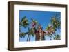 Duke Paoa Kahanamoku, Waikiki Beach, Honolulu, Oahu, Hawaii, United States of America, Pacific-Michael DeFreitas-Framed Photographic Print