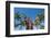 Duke Paoa Kahanamoku, Waikiki Beach, Honolulu, Oahu, Hawaii, United States of America, Pacific-Michael DeFreitas-Framed Photographic Print