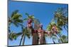 Duke Paoa Kahanamoku, Waikiki Beach, Honolulu, Oahu, Hawaii, United States of America, Pacific-Michael DeFreitas-Mounted Photographic Print