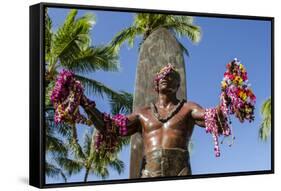 Duke Paoa Kahanamoku, Waikiki Beach, Honolulu, Oahu, Hawaii-Michael DeFreitas-Framed Stretched Canvas