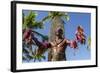 Duke Paoa Kahanamoku, Waikiki Beach, Honolulu, Oahu, Hawaii-Michael DeFreitas-Framed Photographic Print