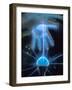 Duke Power Energy Exploratorium, Electricity-Mark Gibson-Framed Photographic Print