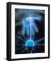 Duke Power Energy Exploratorium, Electricity-Mark Gibson-Framed Photographic Print