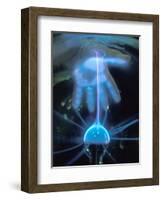 Duke Power Energy Exploratorium, Electricity-Mark Gibson-Framed Photographic Print