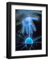 Duke Power Energy Exploratorium, Electricity-Mark Gibson-Framed Photographic Print