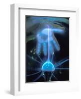 Duke Power Energy Exploratorium, Electricity-Mark Gibson-Framed Photographic Print