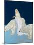 Dulac: The Ice Maiden, 1915-Edmund Dulac-Mounted Giclee Print