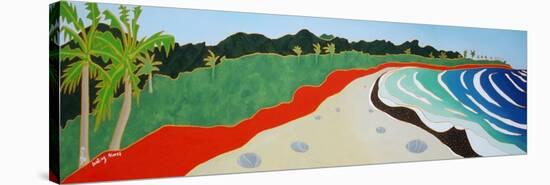 Dulan beach looking north, 2010-Timothy Nathan Joel-Stretched Canvas