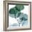 Dull Eucalyptus Mate-Albert Koetsier-Framed Art Print