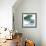 Dull Eucalyptus Mate-Albert Koetsier-Framed Art Print displayed on a wall