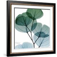 Dull Eucalyptus Mate-Albert Koetsier-Framed Art Print