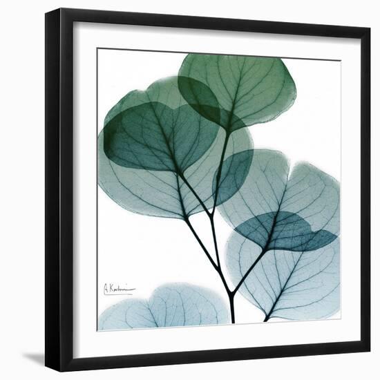 Dull Eucalyptus Mate-Albert Koetsier-Framed Art Print